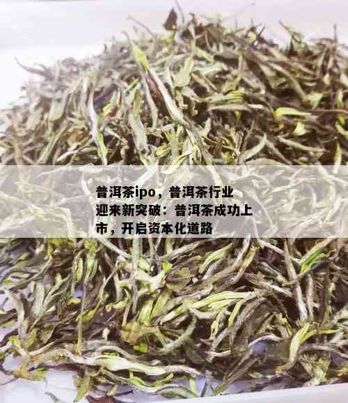 普洱茶ipo，普洱茶行业迎来新突破：普洱茶成功上市，开启资本化道路