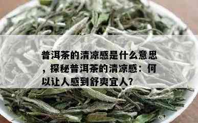 普洱茶的清凉感是什么意思，探秘普洱茶的清凉感：何以让人感到舒爽宜人？