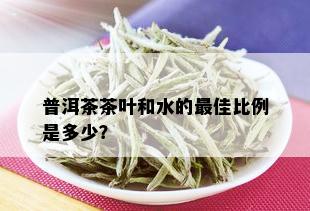 普洱茶茶叶和水的更佳比例是多少？