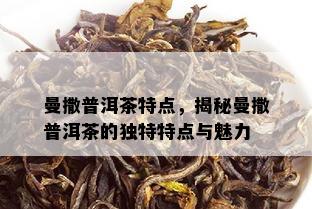 曼撒普洱茶特点，揭秘曼撒普洱茶的独特特点与魅力