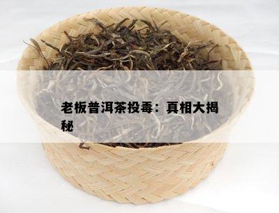 老板普洱茶投：真相大揭秘