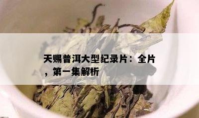 天赐普洱大型纪录片：全片，之一集解析