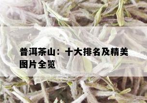 普洱茶山：十大排名及精美图片全览