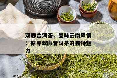 双廊普洱茶，品味云南风情：探寻双廊普洱茶的独特魅力