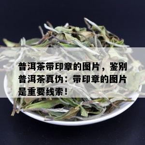 普洱茶带印章的图片，鉴别普洱茶真伪：带印章的图片是重要线索！