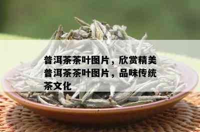 普洱茶茶叶图片，欣赏精美普洱茶茶叶图片，品味传统茶文化