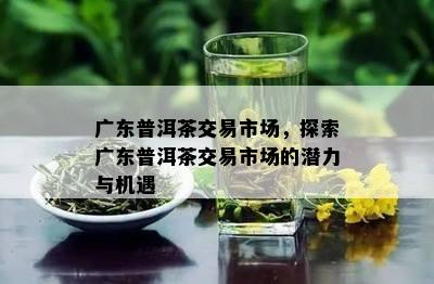 广东普洱茶交易市场，探索广东普洱茶交易市场的潜力与机遇