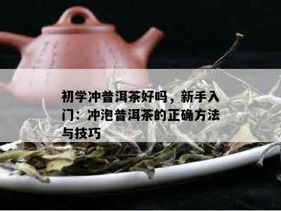 初学冲普洱茶好吗，新手入门：冲泡普洱茶的正确方法与技巧