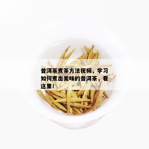 普洱茶煮茶方法视频，学习如何煮出美味的普洱茶，看这里！