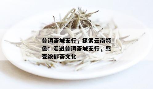 普洱茶城支行，探索云南特色：走进普洱茶城支行，感受浓郁茶文化