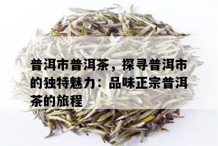 普洱市普洱茶，探寻普洱市的独特魅力：品味正宗普洱茶的旅程