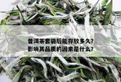 普洱茶套袋后能存放多久？影响其品质的因素是什么？