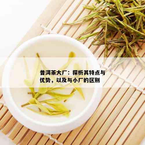 普洱茶大厂：探析其特点与优势，以及与小厂的区别