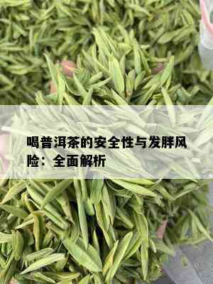 喝普洱茶的安全性与发胖风险：全面解析