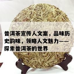 普洱茶宣传人文案，品味历史韵味，领略人文魅力——探索普洱茶的世界