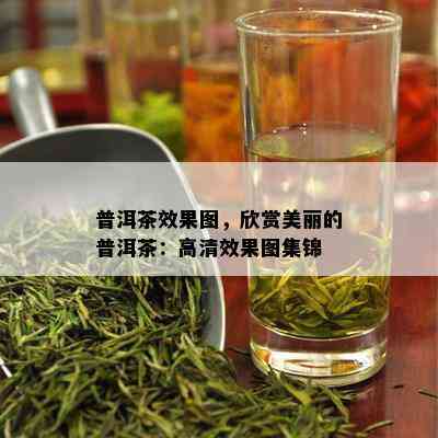 普洱茶效果图，欣赏美丽的普洱茶：高清效果图集锦