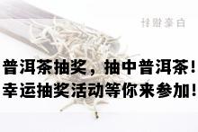 普洱茶抽奖，抽中普洱茶！幸运抽奖活动等你来参加！