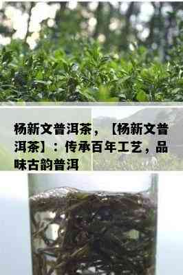 杨新文普洱茶，【杨新文普洱茶】：传承百年工艺，品味古韵普洱