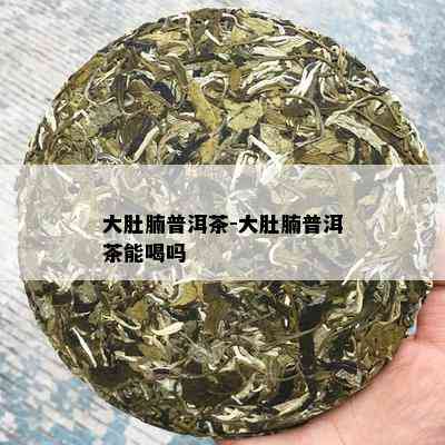 大肚腩普洱茶-大肚腩普洱茶能喝吗