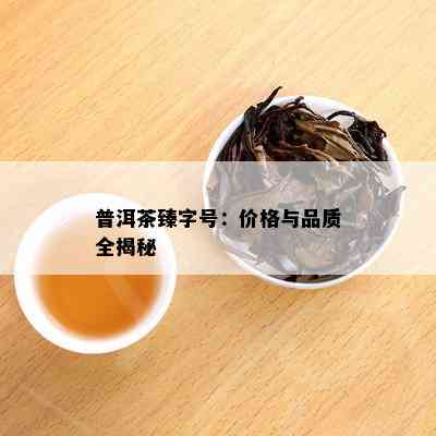 普洱茶臻字号：价格与品质全揭秘