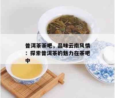 普洱茶茶吧，品味云南风情：探索普洱茶的魅力在茶吧中