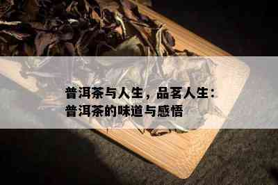 普洱茶与人生，品茗人生：普洱茶的味道与感悟