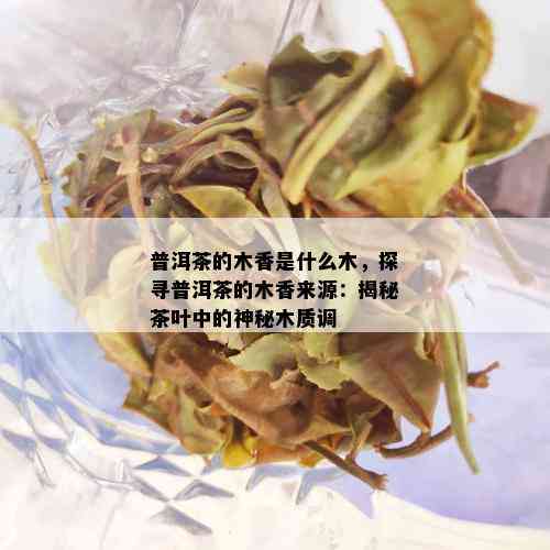 普洱茶的木香是什么木，探寻普洱茶的木香来源：揭秘茶叶中的神秘木质调