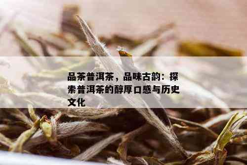 品茶普洱茶，品味古韵：探索普洱茶的醇厚口感与历史文化