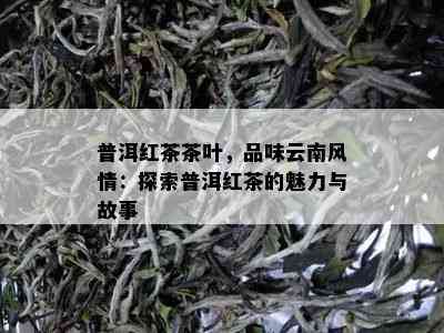 普洱红茶茶叶，品味云南风情：探索普洱红茶的魅力与故事