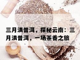 三月滇普洱，探秘云南：三月滇普洱，一场茶香之旅