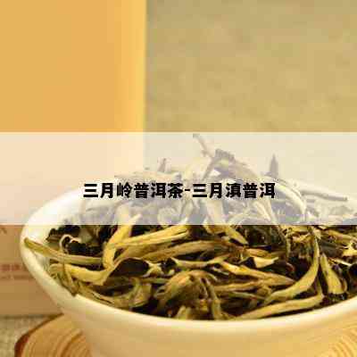 三月岭普洱茶-三月滇普洱