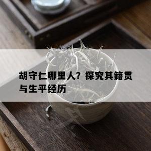 胡守仁哪里人？探究其籍贯与生平经历