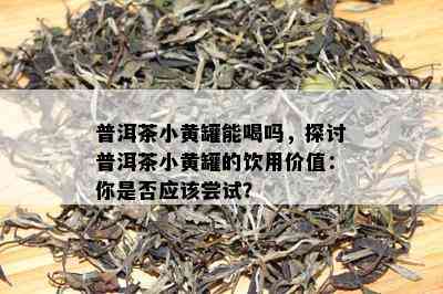 普洱茶小黄罐能喝吗，探讨普洱茶小黄罐的饮用价值：你是否应该尝试？