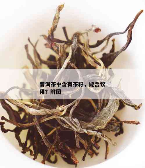 普洱茶中含有茶籽，能否饮用？附图