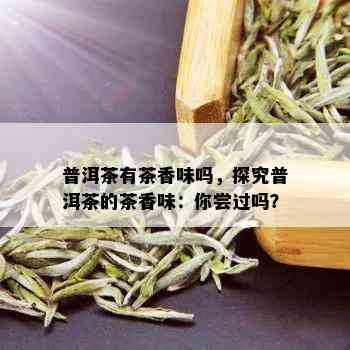 普洱茶有茶香味吗，探究普洱茶的茶香味：你尝过吗？