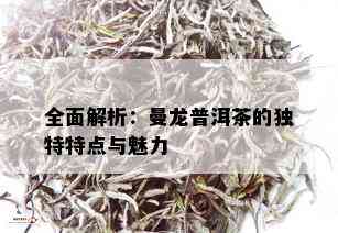 全面解析：曼龙普洱茶的独特特点与魅力