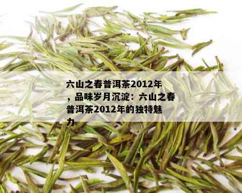 六山之春普洱茶2012年，品味岁月沉淀：六山之春普洱茶2012年的独特魅力