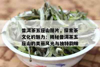 普洱茶五座山图片，探索茶文化的魅力：揭秘普洱茶五座山的美丽风光与独特韵味