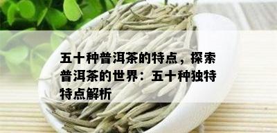 五十种普洱茶的特点，探索普洱茶的世界：五十种独特特点解析