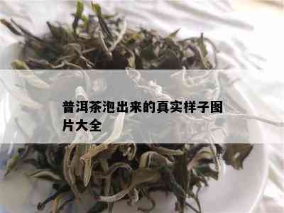 普洱茶泡出来的真实样子图片大全