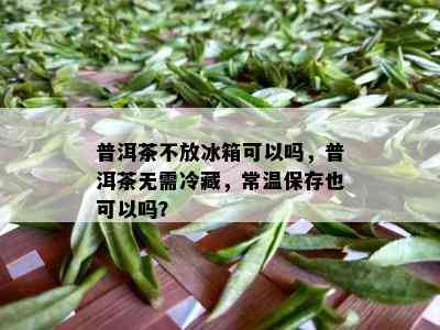 普洱茶不放冰箱可以吗，普洱茶无需冷藏，常温保存也可以吗？