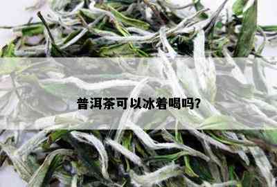 普洱茶可以冰着喝吗？