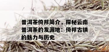 普洱茶倚邦简介，探秘云南普洱茶的发源地：倚邦古镇的魅力与历史