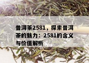 普洱茶2581，探索普洱茶的魅力：2581的含义与价值解析