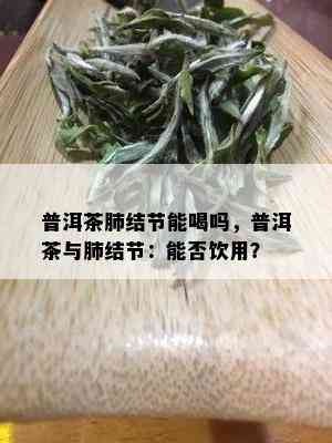 普洱茶肺结节能喝吗，普洱茶与肺结节：能否饮用？