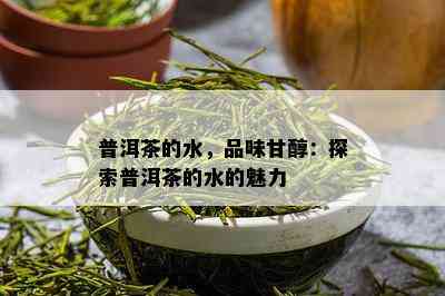 普洱茶的水，品味甘醇：探索普洱茶的水的魅力