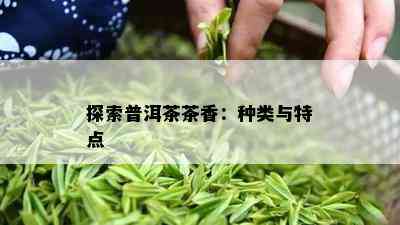 探索普洱茶茶香：种类与特点