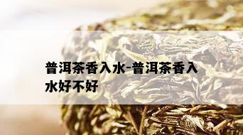 普洱茶香入水-普洱茶香入水好不好