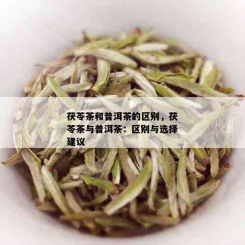 茯苓茶和普洱茶的区别，茯苓茶与普洱茶：区别与选择建议