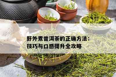 野外煮普洱茶的正确方法：技巧与口感提升全攻略